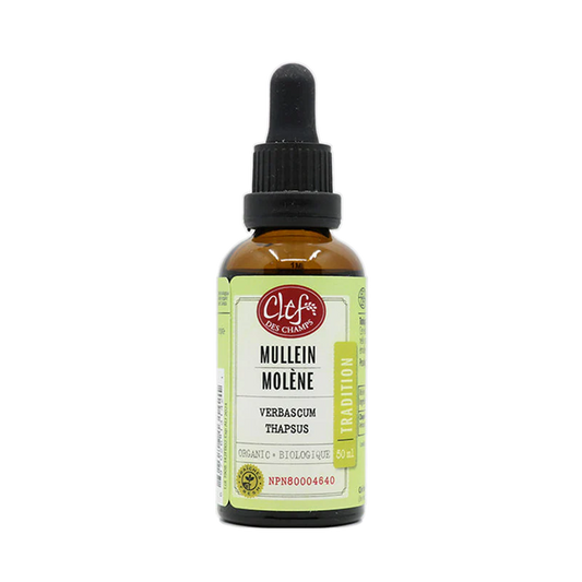 Molène 50ml